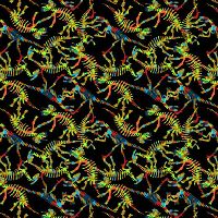 ttDINO-CD4956 MULTI